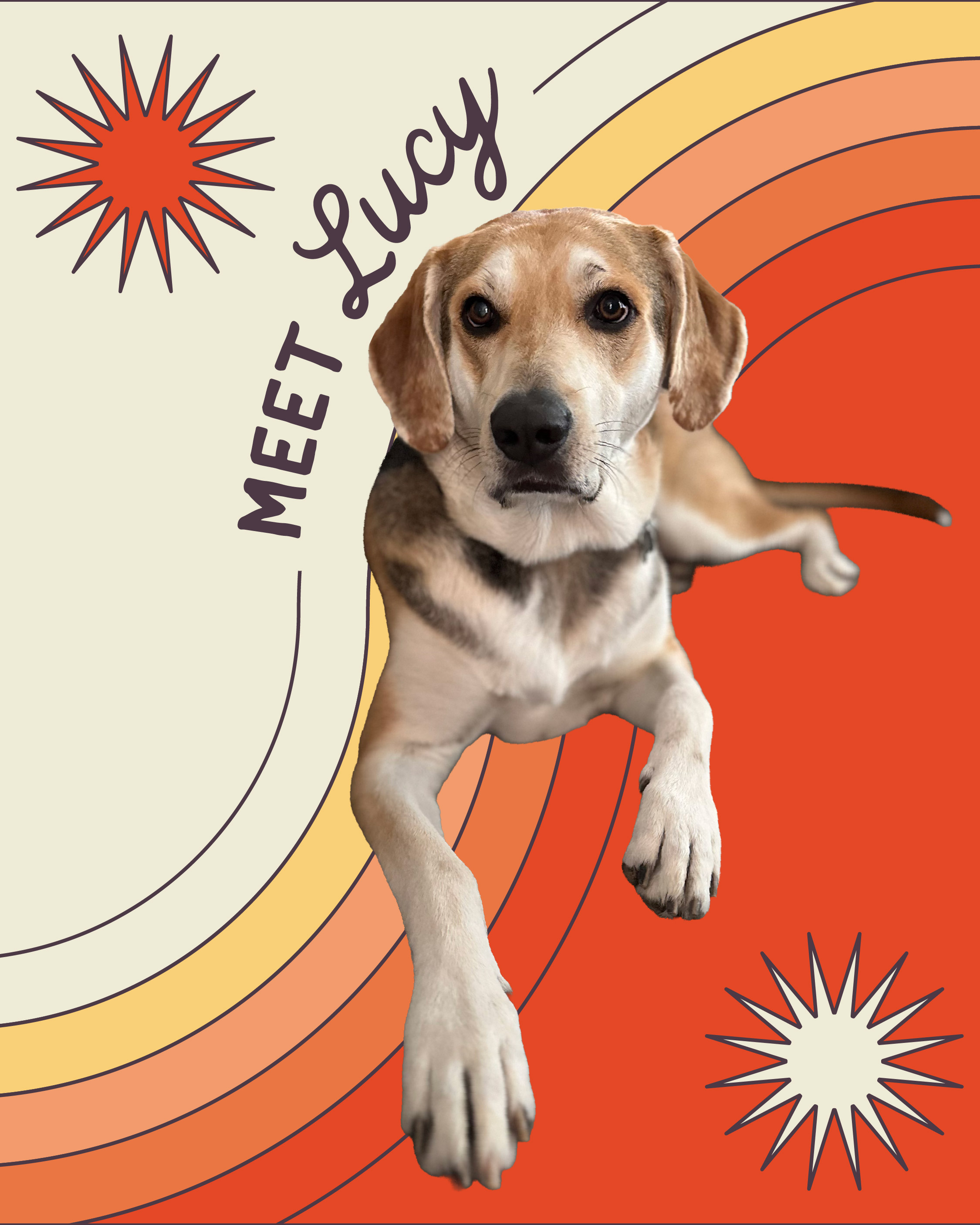 Floof Club ATX — Meet Lucy