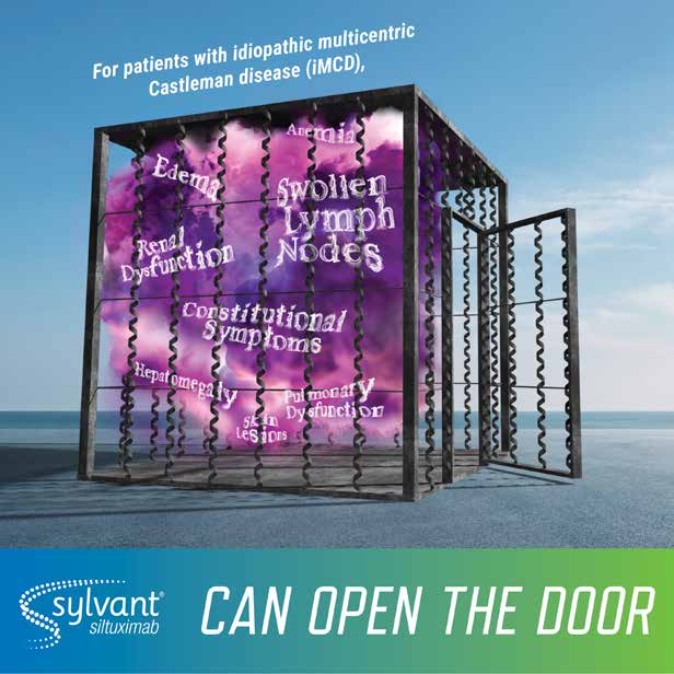 Sylvant Award Display Board