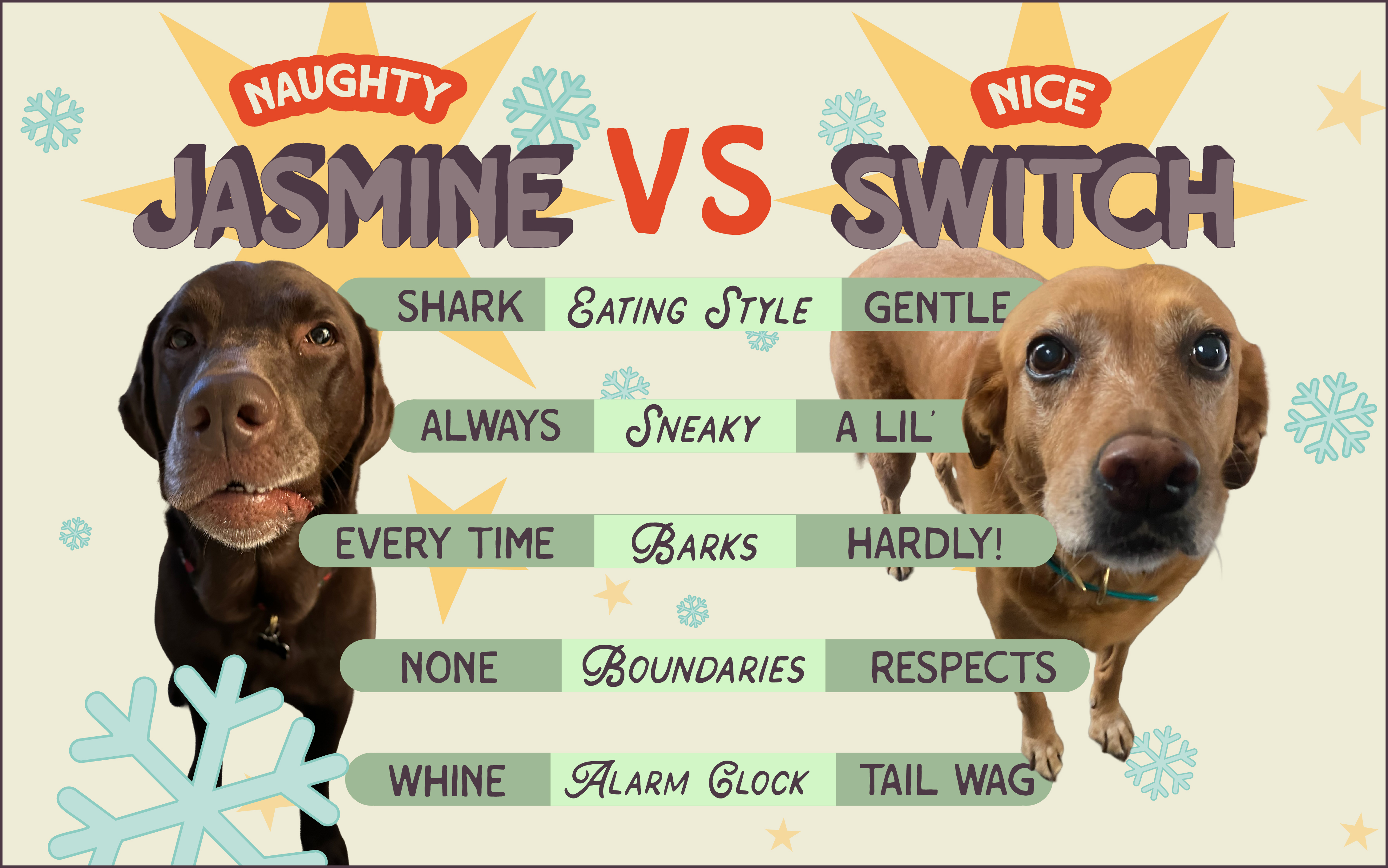 Floof Club ATX — Naughty vs Nice Dog Comparison