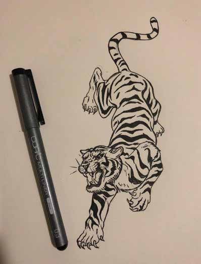 Tiger Ink Sketch for Yoga Brain